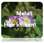 Hier klicken für weitere Informationen